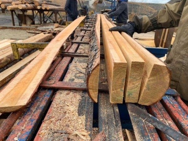 В Брестской области начали штрафовать за неправильное использование древесины В Брестской области начали штрафовать за неправильное использование древесины