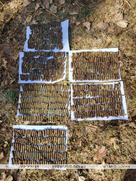 Опасная находка. Крупную партию боеприпасов нашли в Брестской области Опасная находка. Крупную партию боеприпасов нашли в Брестской области