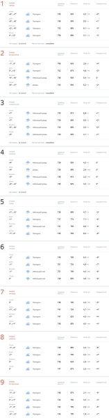 Какой будет погода в Бресте в Новогоднюю ночь?