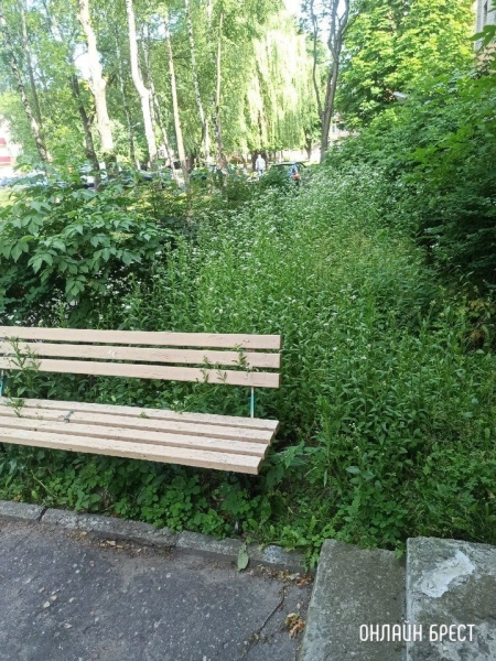 Читатель: Центр города. Брест, ул.Малая, 3
             
                Читатель: Центр города. Брест, ул.Малая, 3