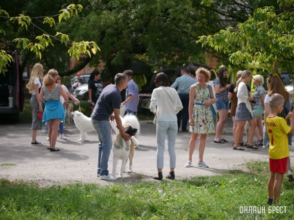 Можно ли в городе выгуливать собаку без намордника? Можно ли в городе выгуливать собаку без намордника?