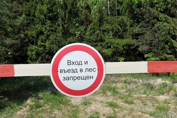 Где в Брестской области лес закрыт для посещения? Смотрите карту Где в Брестской области лес закрыт для посещения? Смотрите карту